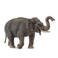 Asiatisk elefant  (Collecta)