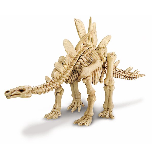 Gräv fram och bygg ihop ett dinosaurieskelett - Stegosaurus