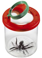 Insektsburk med förstoringslock, 7 cm