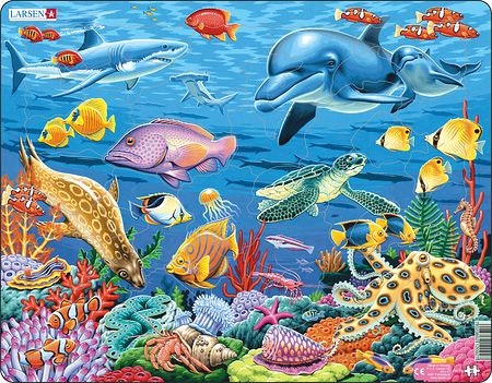 Havsdjur korallrev 35 bitar