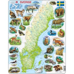 Karta Sverige 71 bitar