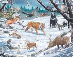 Sibiriska och nordöstasiatiska djur 66 bitar