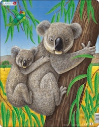 Koala 25 bitar