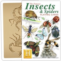 Insekter & Spindlar - Kortlek