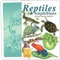 Reptiler & Amfibier - Kortlek
