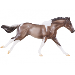 Grulla Paint Horse