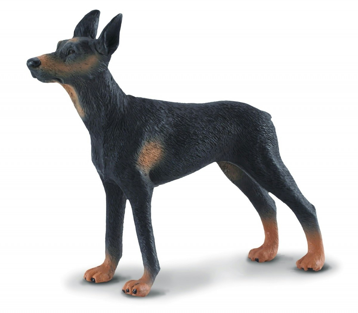 Dobermann (Collecta)