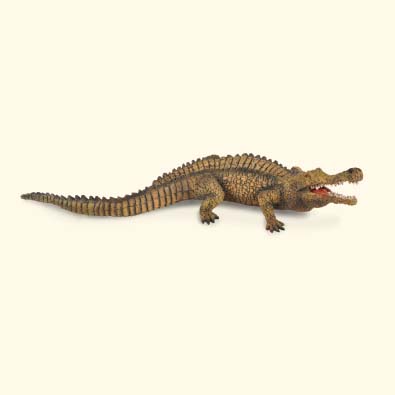 Sarcosuchus 20 cm (Collecta)