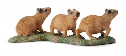Kapybara ungar (Collecta)