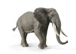 Afrikansk elefant 18 cm (Collecta)