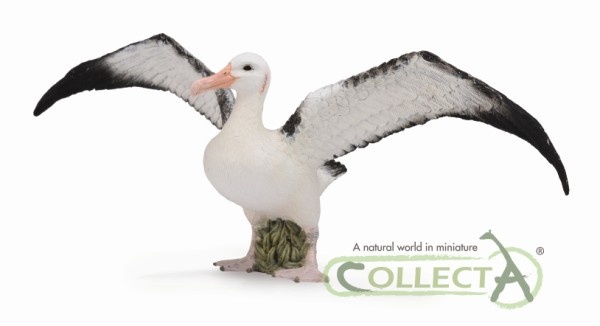Albatross (Collecta)