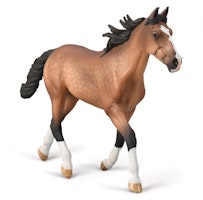 Amerikansk travare (Collecta)