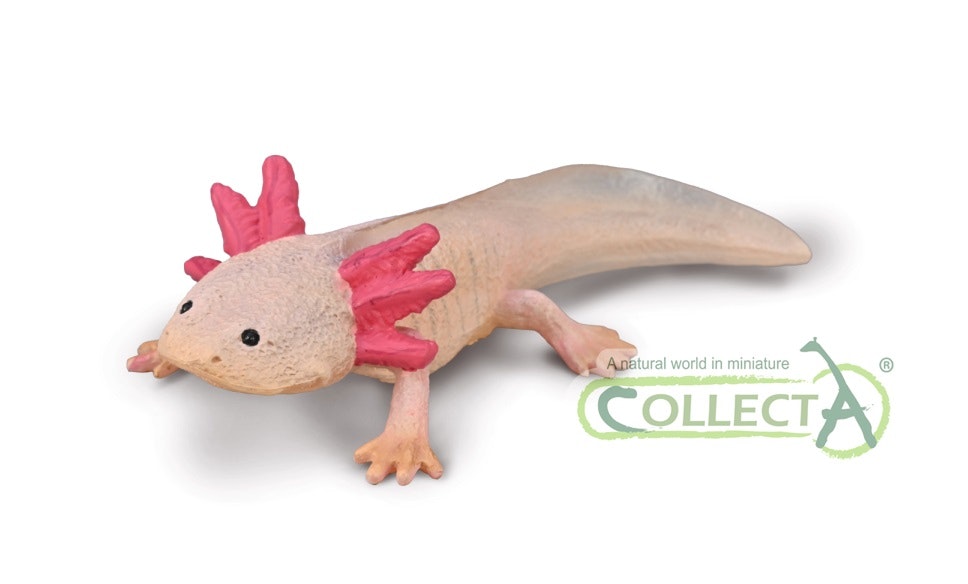 Axolotl 9 cm (Collecta)