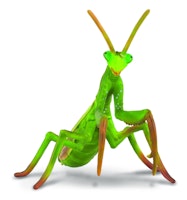 Bönsyrsa 11 cm (Collecta)