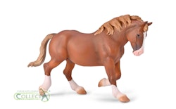 Bretagnare (Collecta)