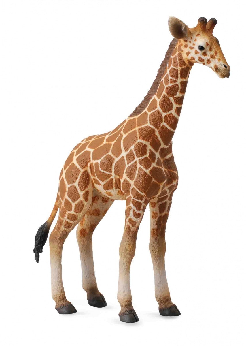 Giraffkalv (Collecta)