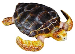 Karettsköldpadda 7 cm (Collecta)