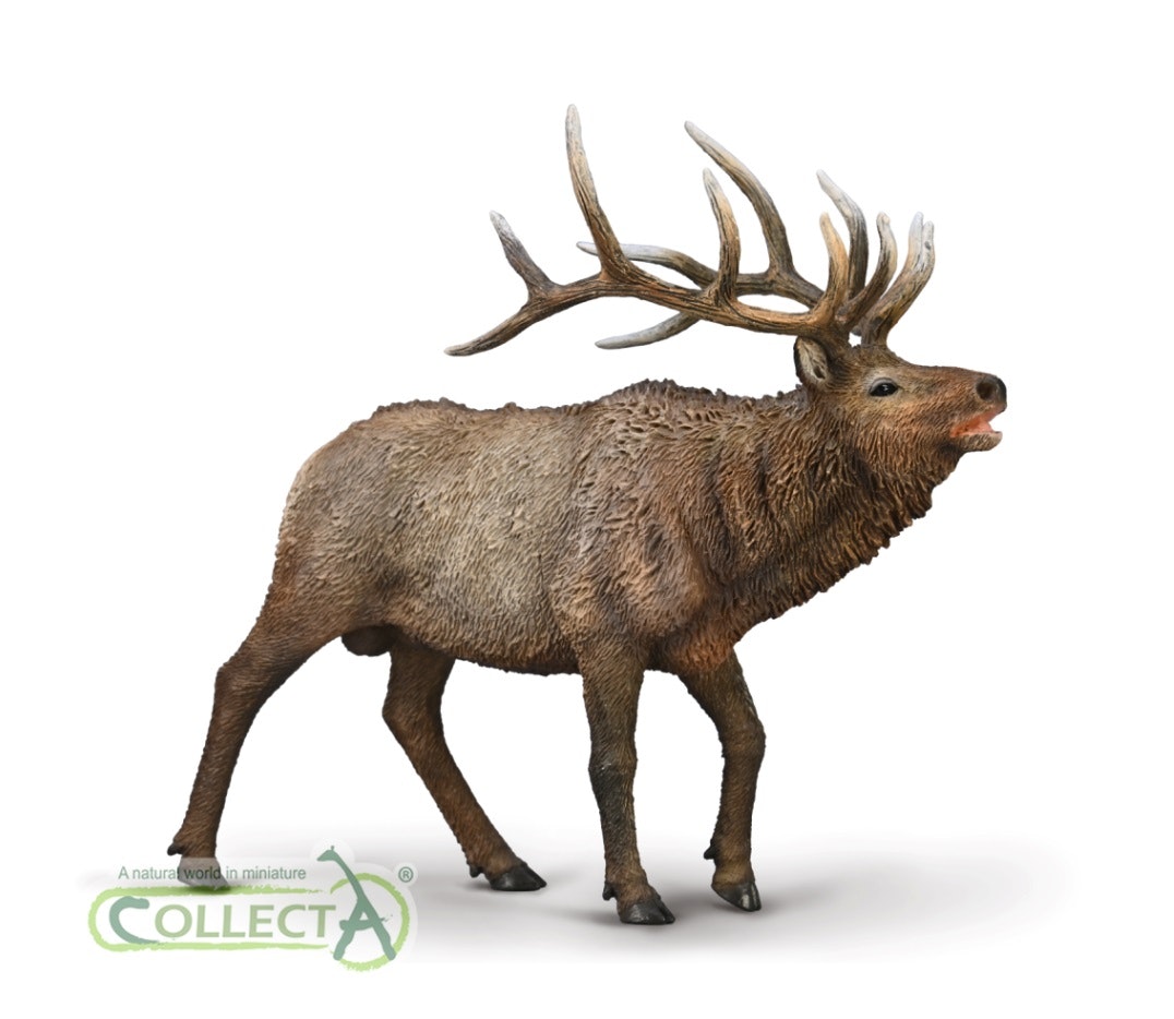 Kanadahjort (Collecta)