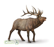 Kanadahjort (Collecta)
