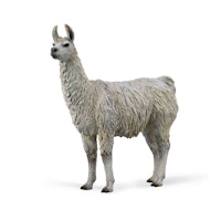 Lama (Collecta)