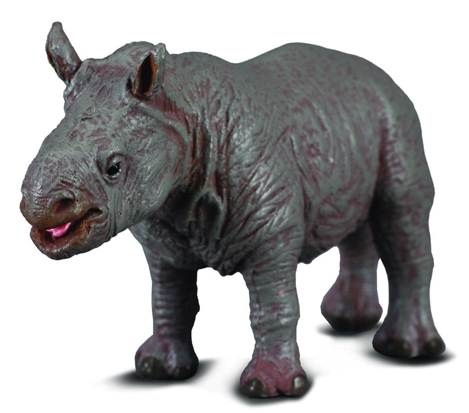 Trubbnoshörningsunge (Collecta)