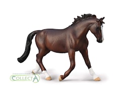 Oldenburgare (Collecta)