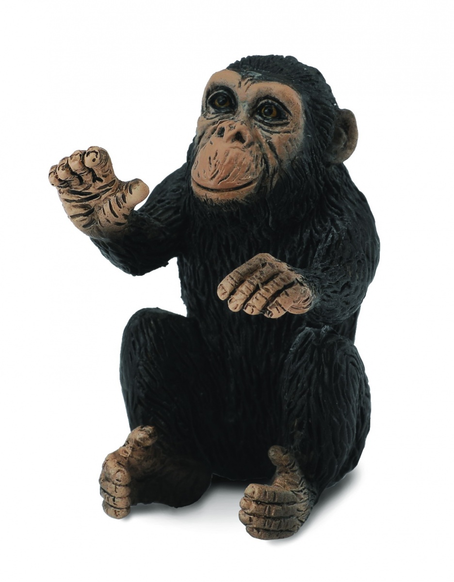 Schimpansunge sitter 3 cm (Collecta)