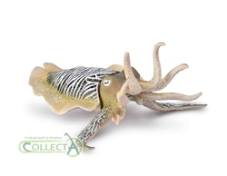 Bläckfisk-Sidensepia 10 cm (Collecta)