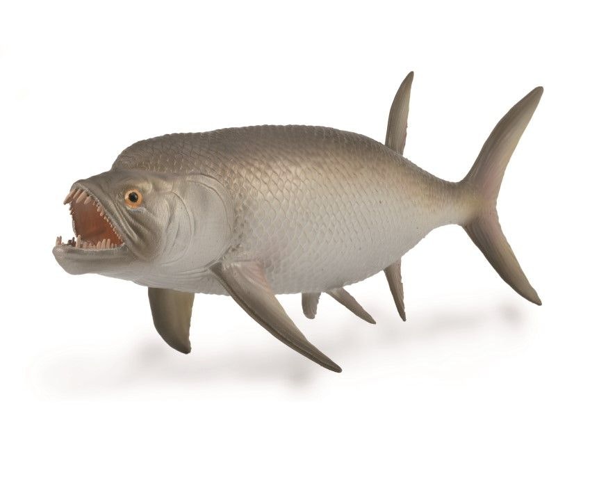 Xiphactinus 16 cm 1:40 (Collecta)