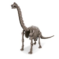 Gräv fram och bygg ihop ett dinosaurieskelett - Brachiosaurus