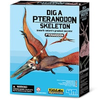 Gräv fram och bygg ihop ett dinosaurieskelett - Pteranodon