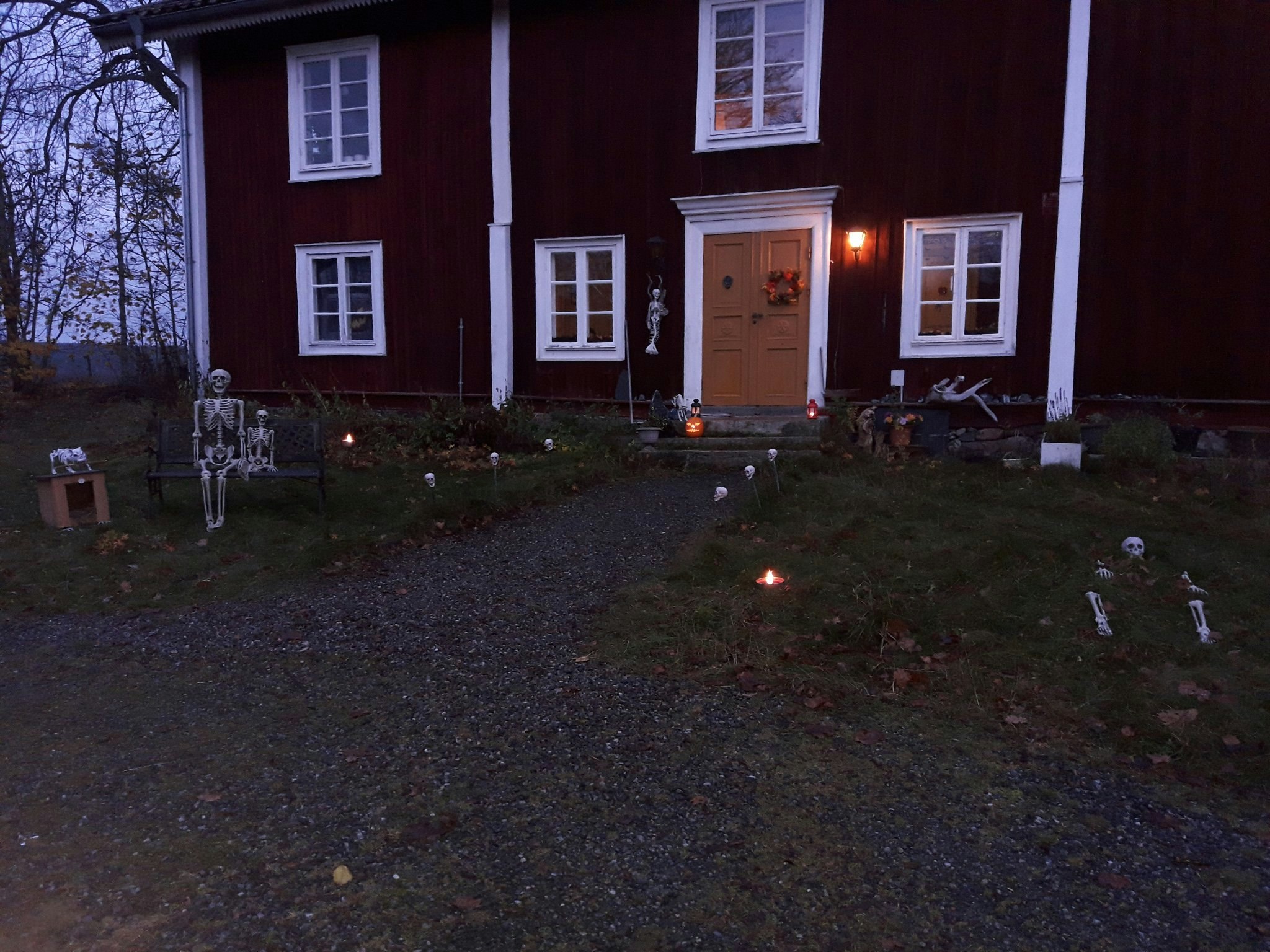 Buskul Halloween 2024