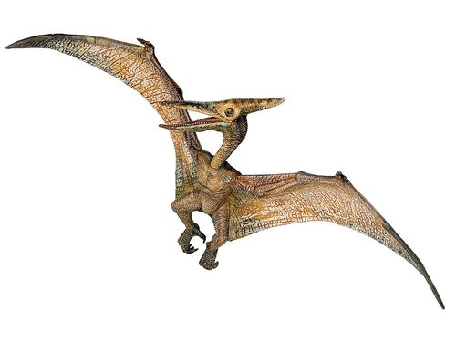 Pteranodon 23 cm (Papo)