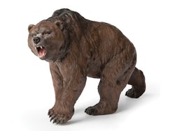 Grottbjörn 13 cm (Papo)