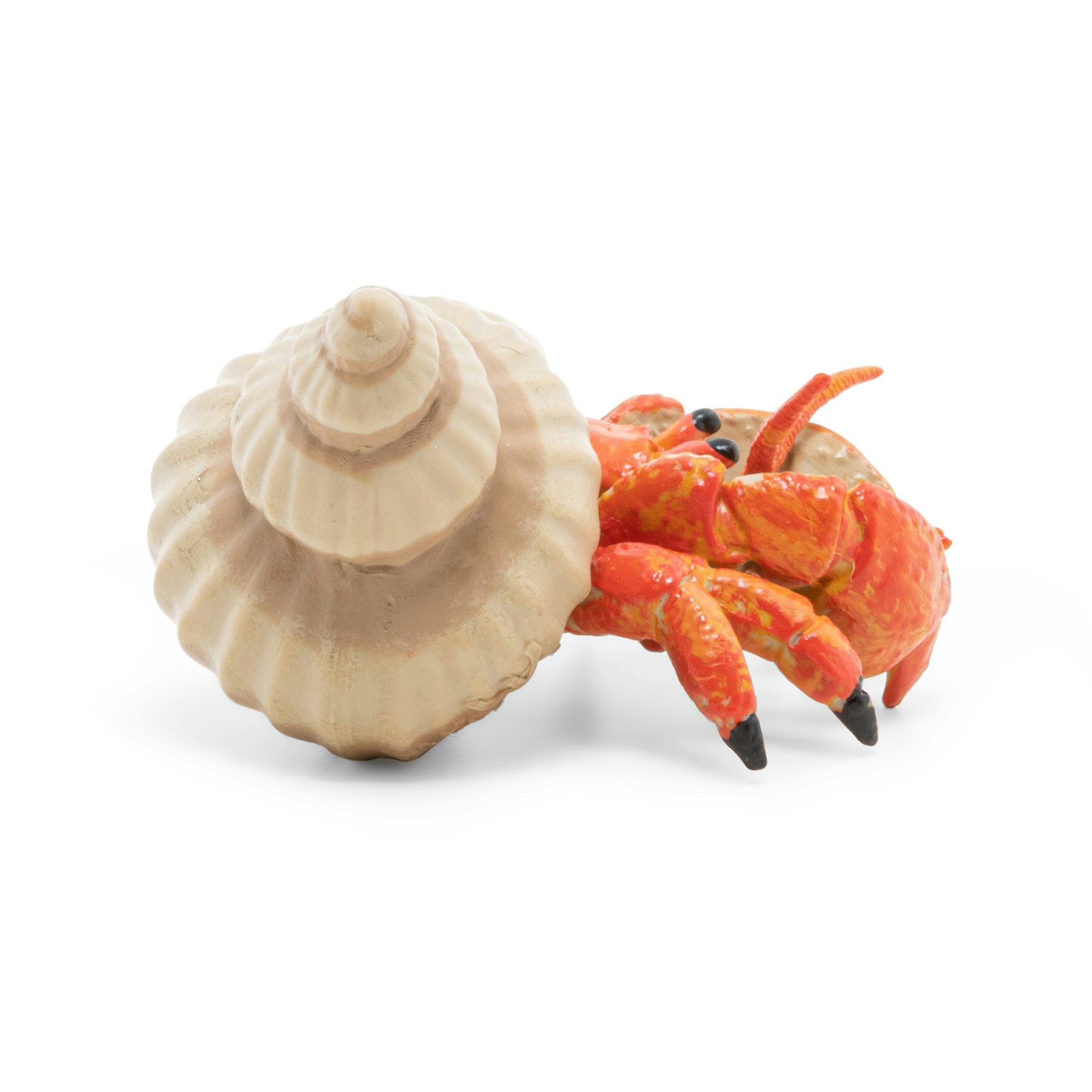 Eremitkrabba 6 cm (Papo)