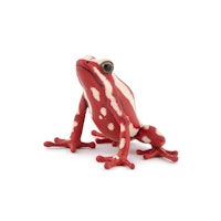 Pilgiftsgroda 5 cm (Papo)