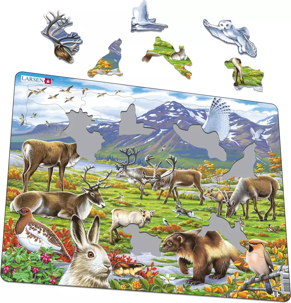 Pussel Arktisk tundra 50, bitar