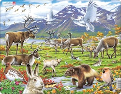 Pussel Arktisk tundra 50, bitar