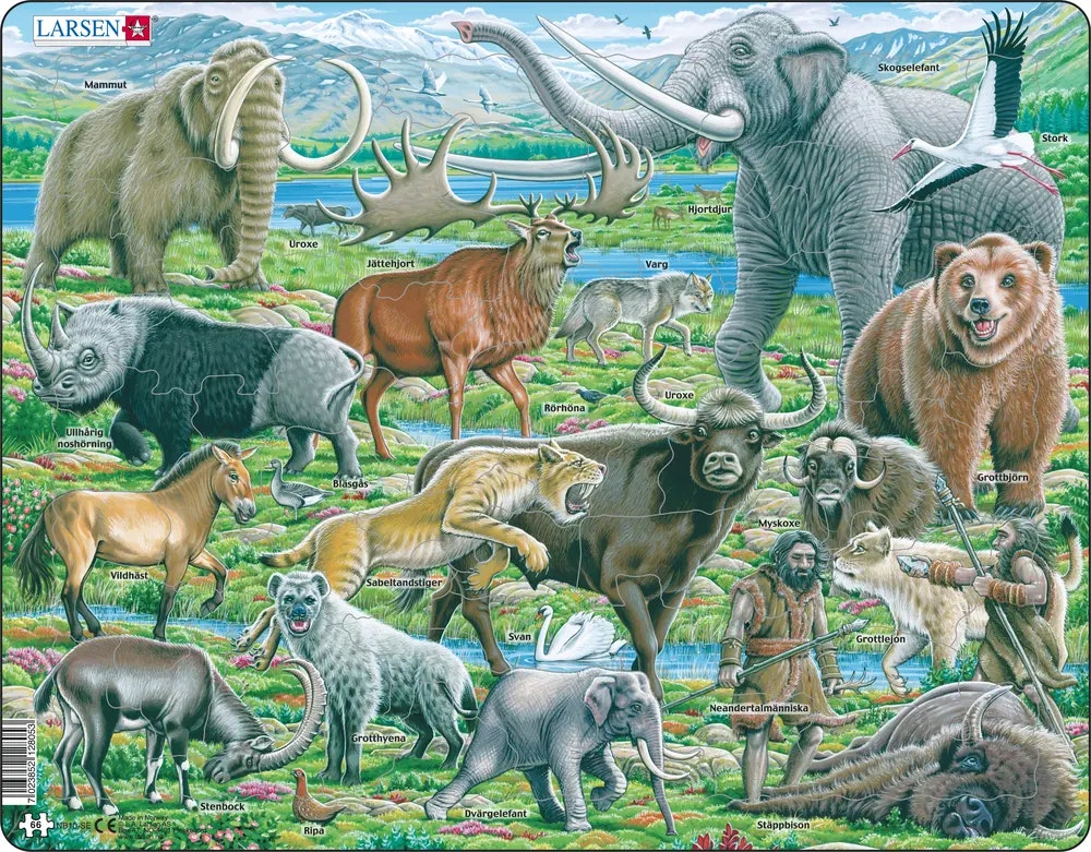 Djurlivet på neandertalarnas tid 66 bitar