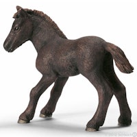 Camargue föl (Schleich)