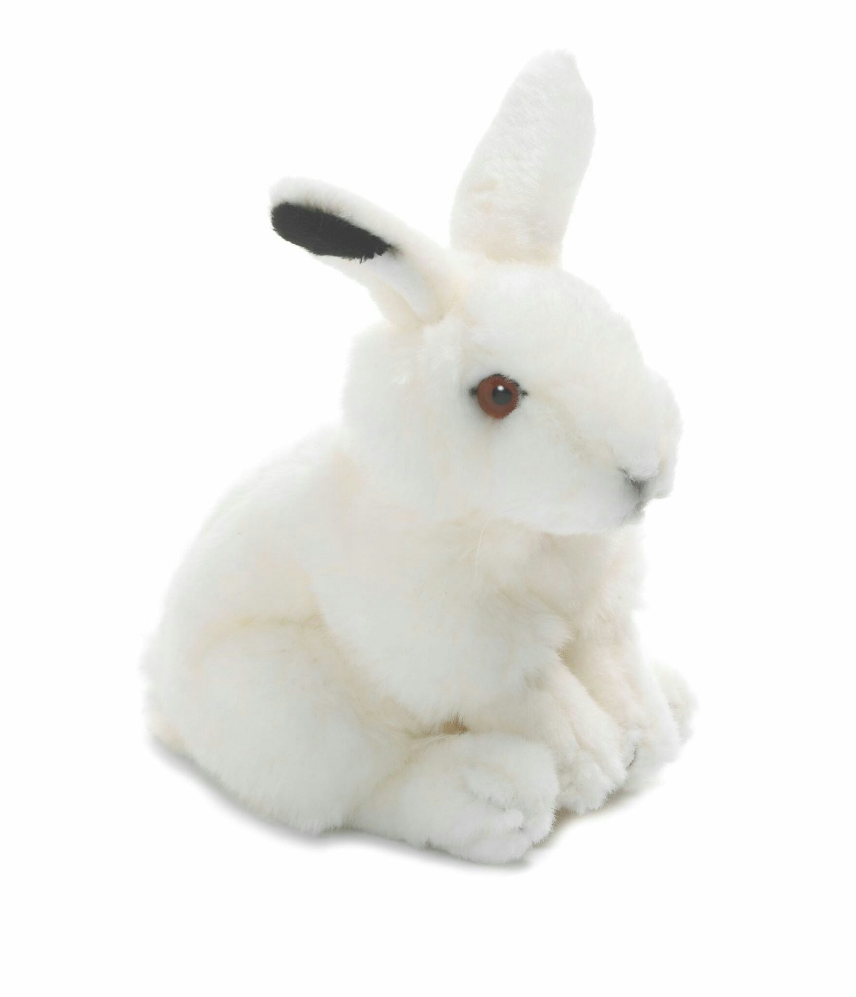 Polarhare 24 cm (WWF)