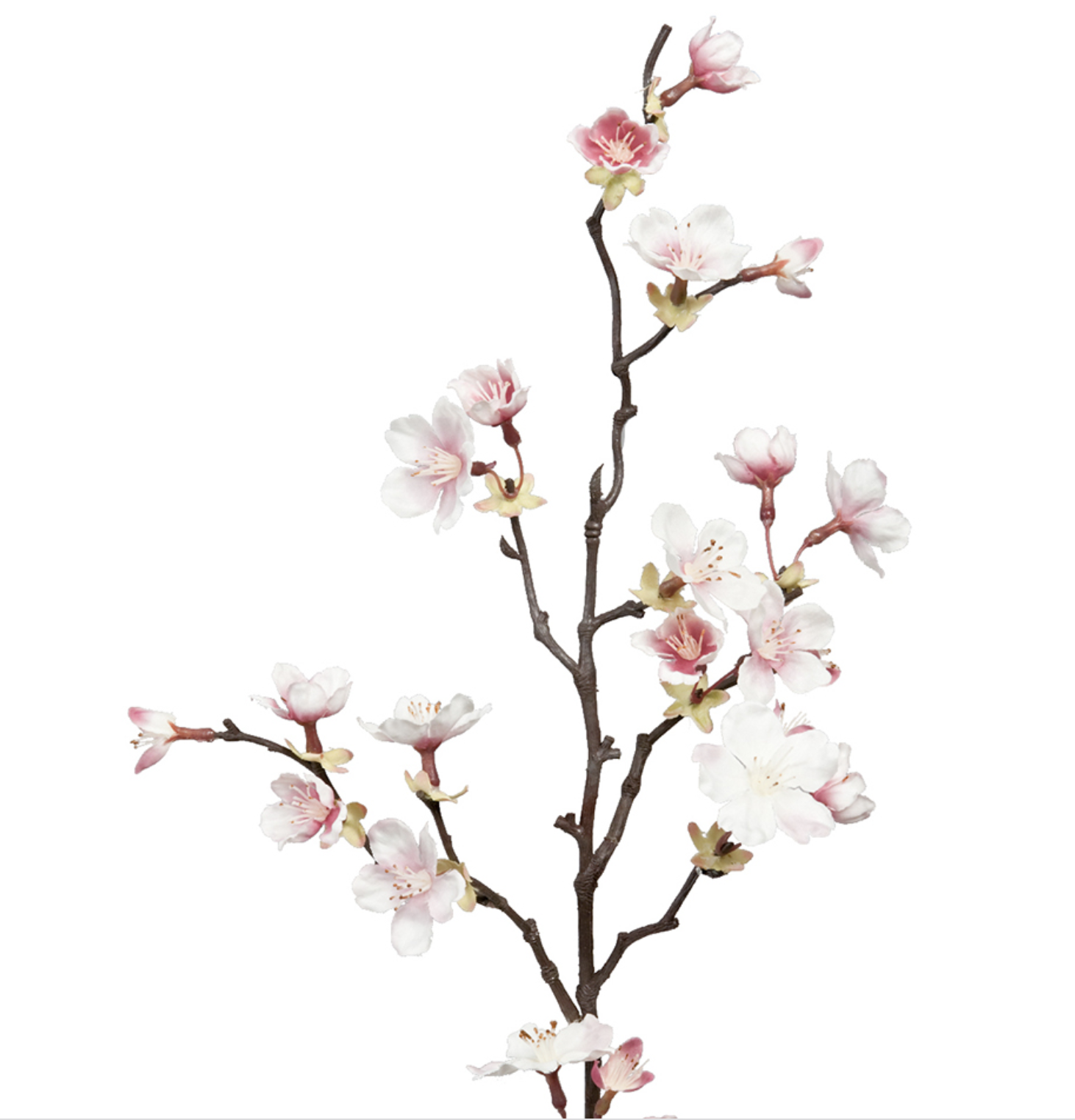 Körsbärsblom kvist  60 cm