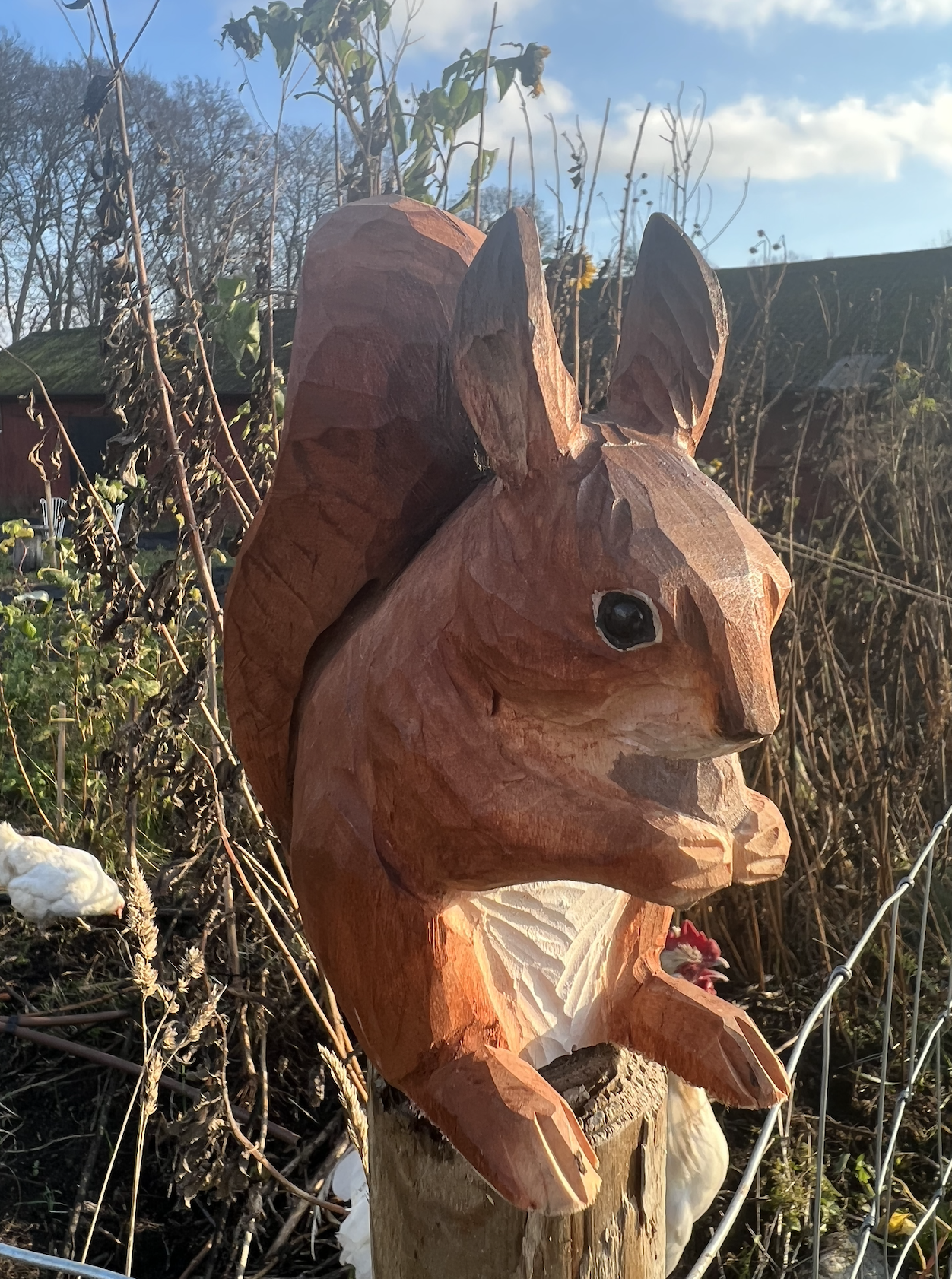 Hand carved squirrel