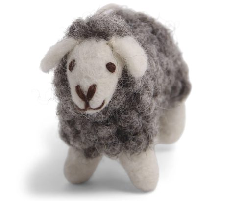 Mini Sheep  tuvad lamm