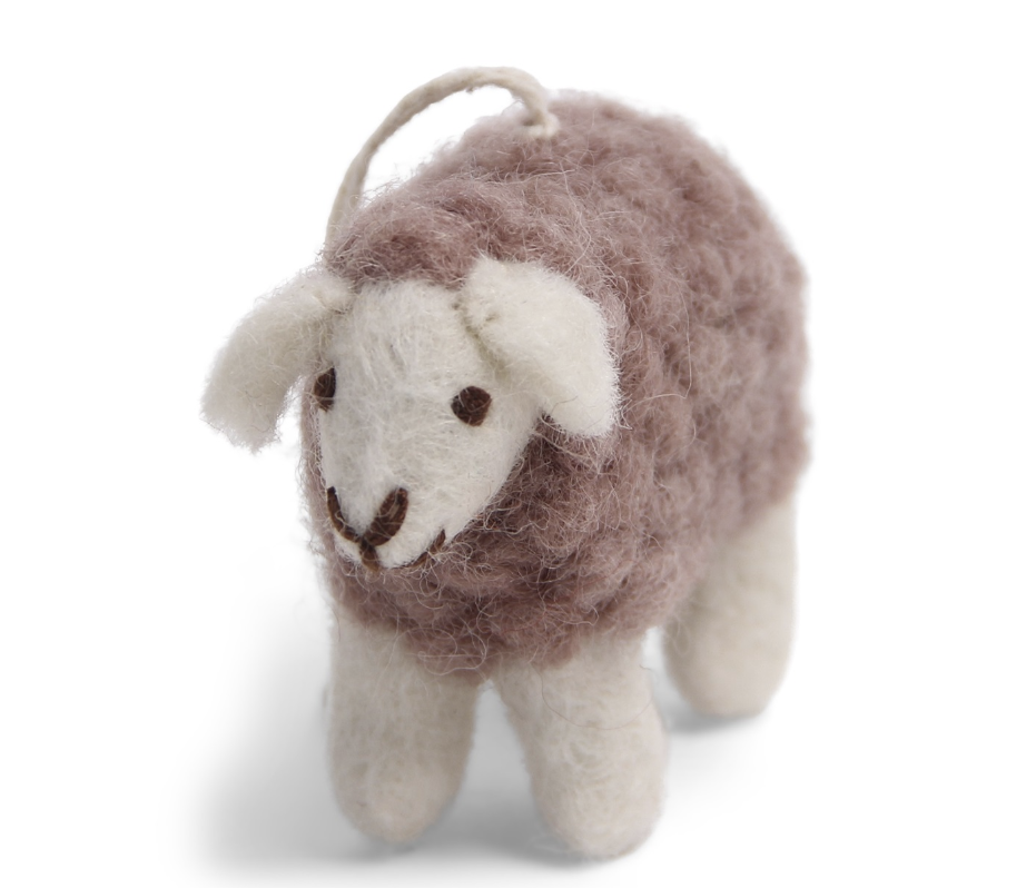 Mini Sheep  tuvad lamm