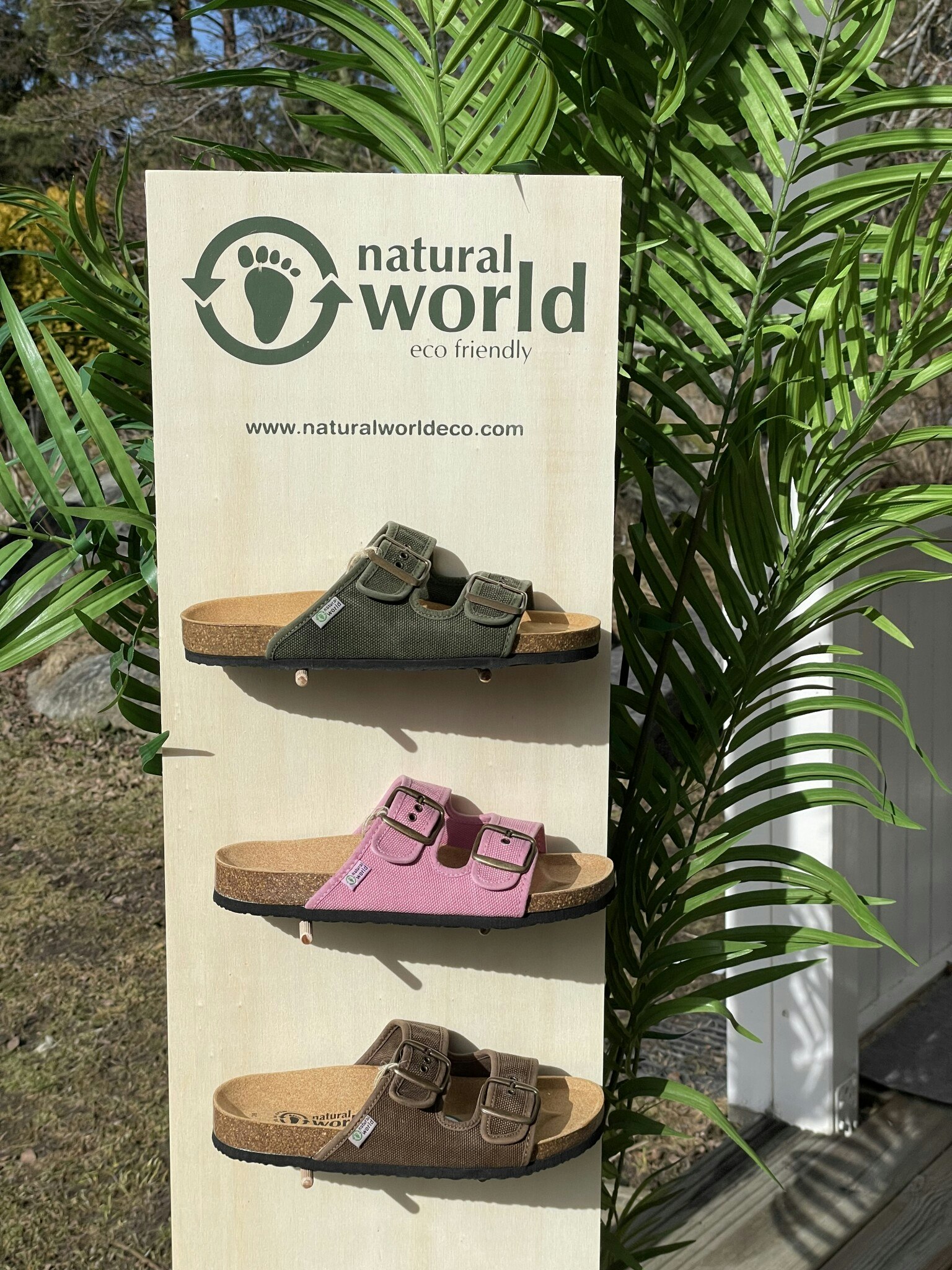 Sandal Tropical Natural World