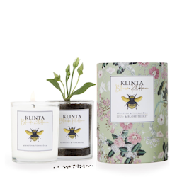 Amber & Tonka Bean Scented Candle and Flower Kit in one!