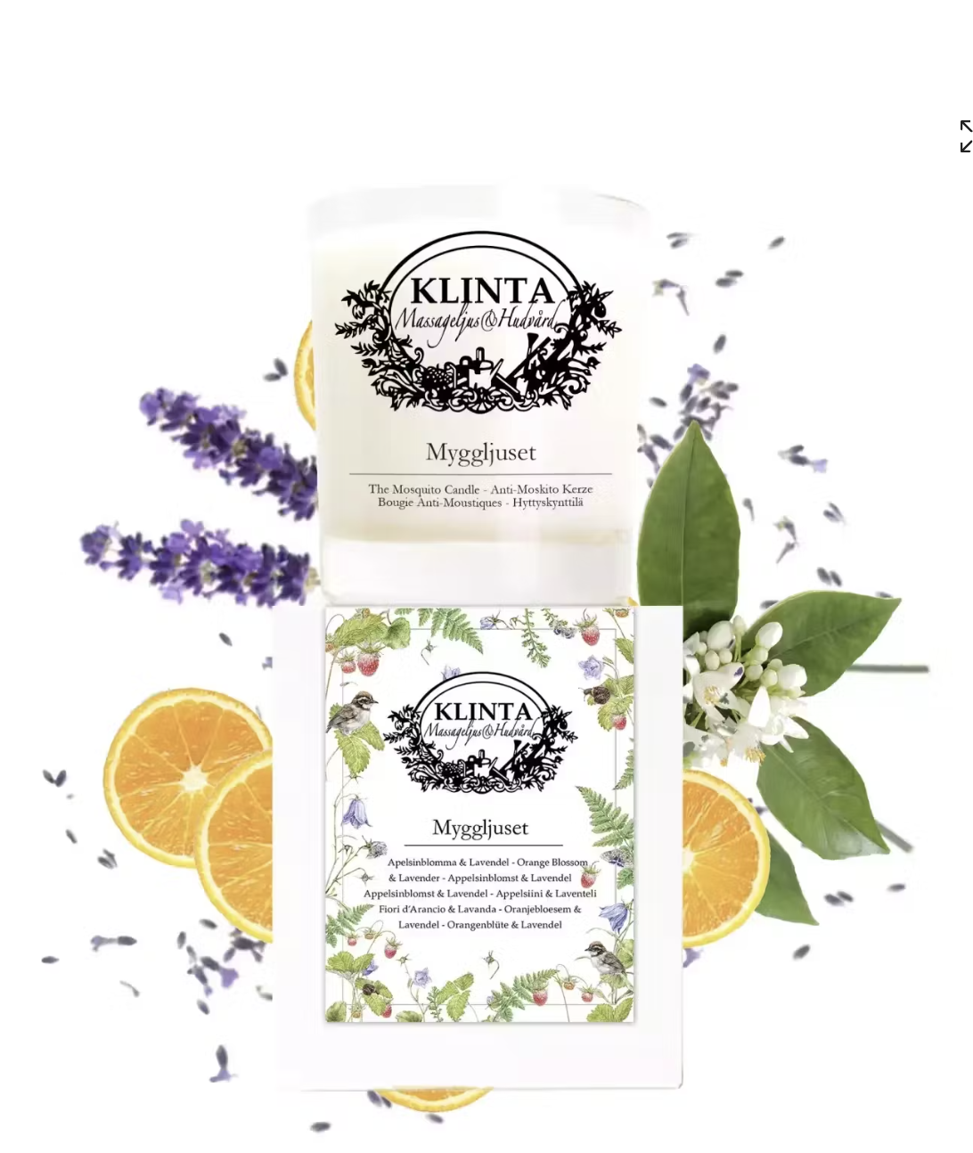 Myggljus från Klinta