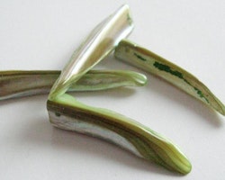 Snäckskalspärlor - Tusk - Spjut - Grön - 5st