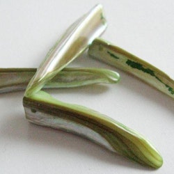 Snäckskalspärlor - Tusk - Spjut - Grön - 5st